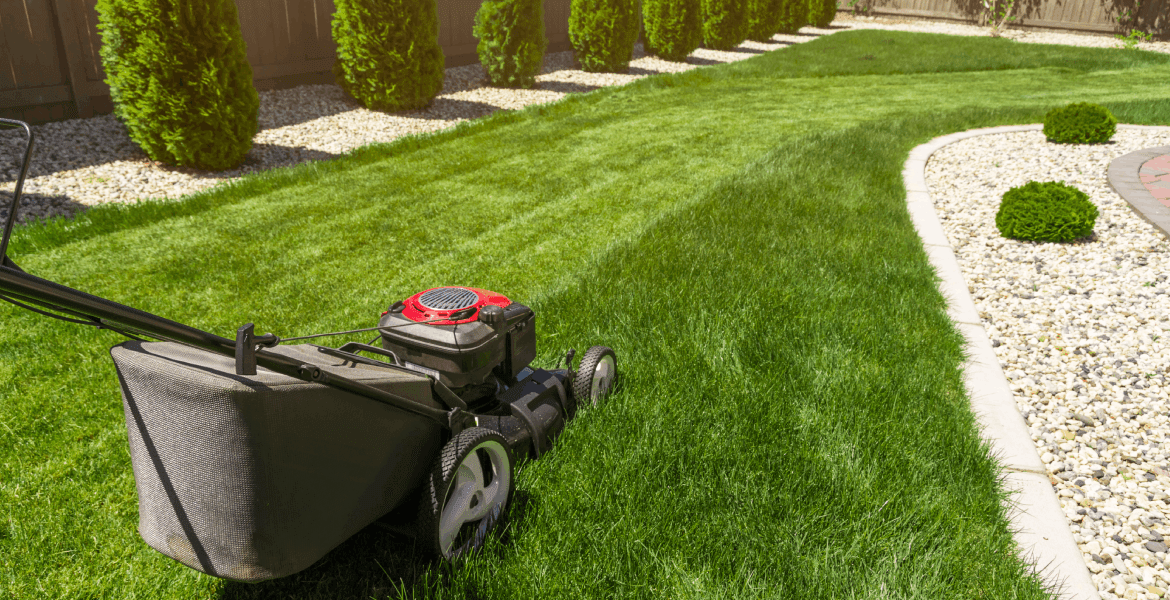 Thomas Landscaping