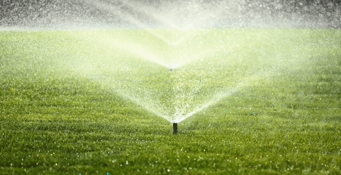 Thomas Landscaping